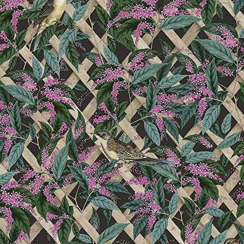 Holden Cassidy Trellis Wallpaper - Modern Wallpaper for Living Room, Bedroom, Fireplace - Decorative Luxury Wall Paper with Birds, Vine & Geometric Trellis (Charcoal/Pink)