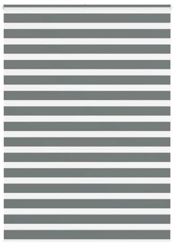 vidaXL Zebrarollo Dunkelgrau 160x200 cm Stoffbreite 155,9 cm Polyester, Zebra-Rollo, Doppelrollo, Zebra-Jalousie für Fenster, Doppelrollo, Zebra-Rollo