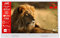 JVC LT-32VHP255W 32 Zoll tragbarer Fernseher / Smart TV mit Akku- & Strombetrieb (HD Ready, Triple-Tuner, HDR10, Dolby Audio, für zu Hause & Outdoor geeignet) - 6 Monate HD+ inkl., Weiß