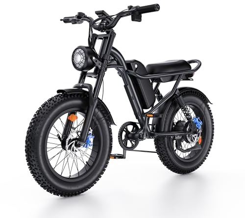 Electric Bike for Adults, 1500W Peak Motor Ebike with 48V 15.6Ah Built-in Removable Battery, 70 Miles Range Top Speed 28 MPH Electric Bike, 20 Off Road All terrian Fat Tire E Bike with 7 Speed