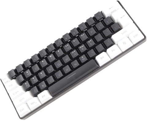 Jiawu Mini RGB-tangentbord 61 Tangenter Kabelanslutet Speltangentbord med LED-bakgrundsbelysning, Ergonomisk Mekanisk Känsla Typ C-tangentbord för PC, Kontor, Företag - Flera RGB-lägen (Svart)