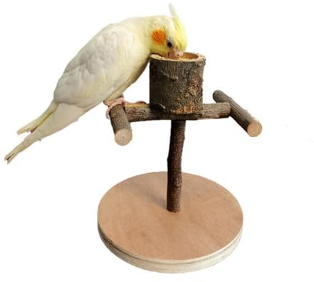 Vogelspielplatz, Vogel Sitzstangen, Papageien Spielplatz mit Futtertasse, Naturholz Ständer, tragbar, für Kleine Sittiche, Nymphensittiche, Wellensittiche