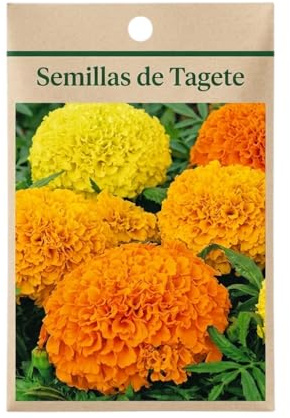 Semillas de Tagete para Crear Espacios Exteriores Coloridos en Jardín, Terraza o Balcón DECOALIVE
