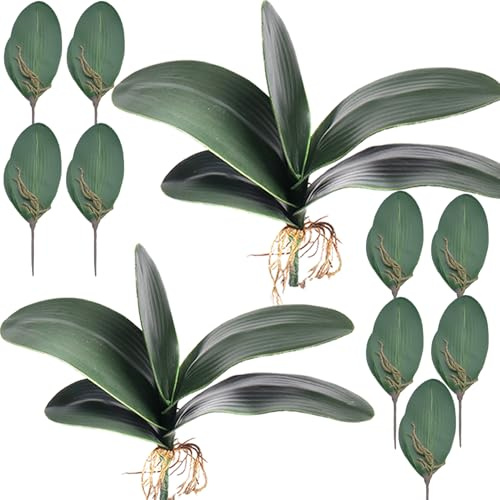 HinyoCo Löv Konstgjord Orkidé 26 cm Verkligt Utseende Rötter Växter En Kontakt I Latex Grön Faux Leaf Arrangement (11)