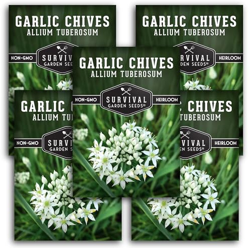 Survival Garden Seeds 5 Packs Garlic Chives Seed for Planting - Packet with Instructions to Grow Delicious Perennial Herbs in Your Home Vegetable Garden - Non-GMO Heirloom