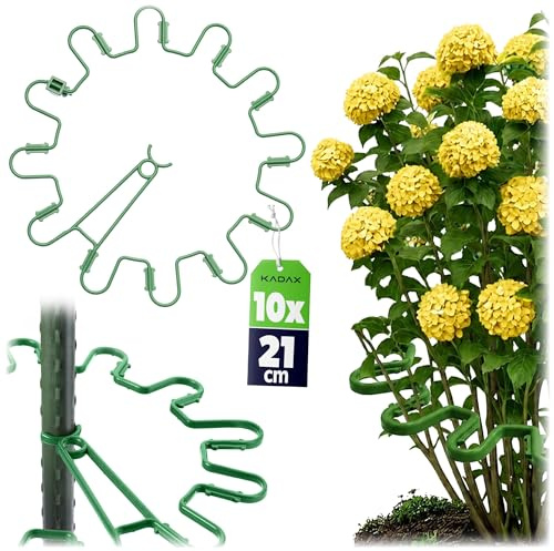 KADAX Staudenhållare Rund Ø 21 cm i 10-pack, växthållare av plast, växtstöd, staudstöd för hortensior & pioner, hortensiehållare, planteringsring (Grön)