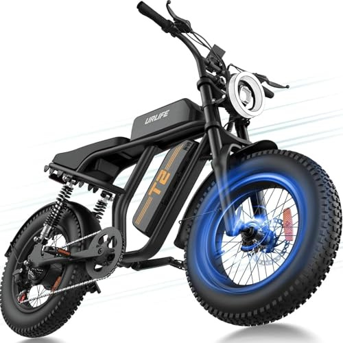URLIFE Bicicleta Eléctrica de 20 x 4 Fat Tire para Adultos, 48V 15,6Ah Batería Extraíble, Autonomía de hasta 120km por Carga, 7 Velocidades, Pantalla LCD, E-MTB con Dual Suspensión (Negro)