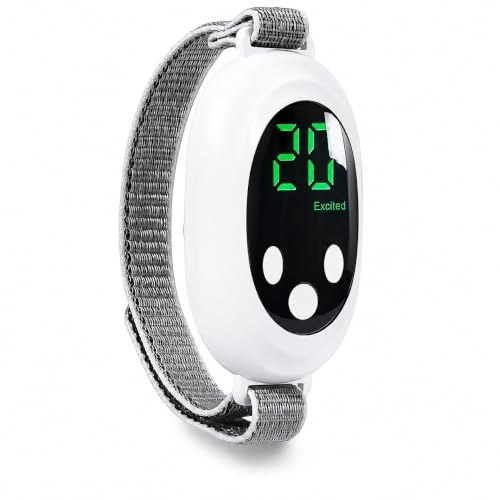 Dispositivo EMS de Relajación para la Palma de la Mano, 2 Modos y 20 Niveles por Modo, Pantalla LED, Recargable USB-C, Correa Ajustable, Compacto y Portátil para Uso Diario