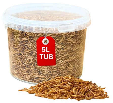 Beewarm Premium Wild Bird Food – Mealworms for Wild Birds – High Energy Wild Food, No Mess Bird Feed For All Species (5L Tub, Mealworms)