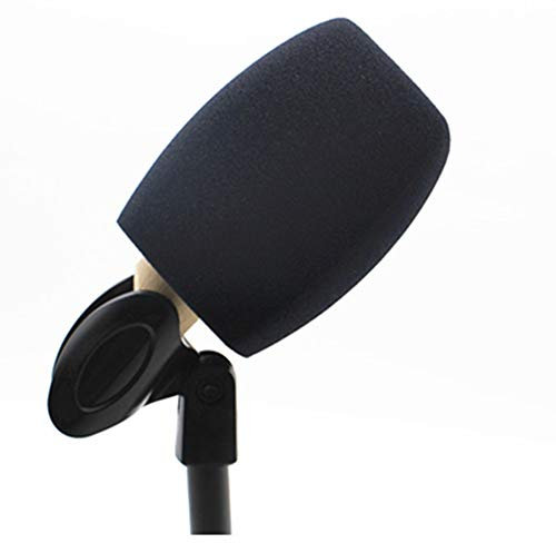 Saidbuds Foam Mic Cover Handheld Microphone Windscreen Large Foam Windshields Pop Filters for Handheld Microphone Interview Microphones (Black)