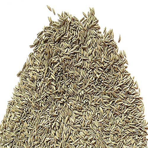 Il Contadino - Antiche Sementi | FESTUCA ARUNDINACEA | Tappeto erboso, Adatto a tutti i luoghi e tipi di terreno, Ottima resistenza alla siccità, al calpestio e all'ombreggiamento (5 Kg)