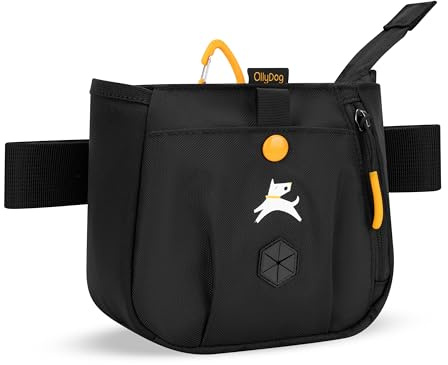 OllyDog Backcountry Day Bag | Hands-Free Dog Training Treat Pouch | Fanny/Hip Pack with Zipper Closure & Built-in Poop Bag Dispenser | Removable Waist Clip (Raven S'25)
