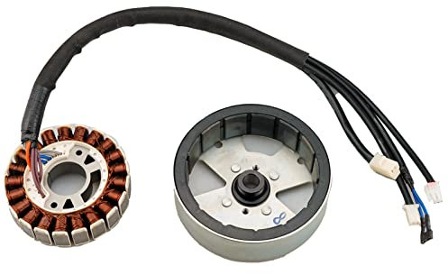 JJing Motor Compatible with Harbor Freight Predator 2000 Watt Inverter Generator