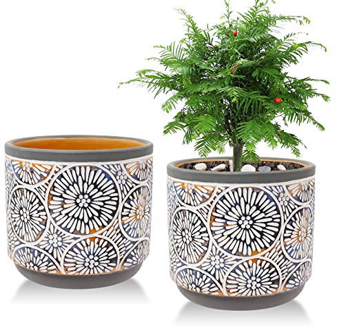 Vivimee Paquete de 2 macetas de Terracota de cerámica de 5.7 Pulgadas para Plantas, Juego de macetas con Agujero de Drenaje para Cactus, suculentas, bambú, Hierbas, cerámica de Arcilla Grande, bonsái