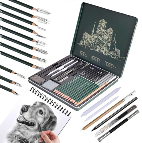 19 Piezas Lápices de Dibujo Profesionales Ideales para Sombrear, Dibujar y Bocetar, Apto para Principiantes y Artistas, Set Básico de Lápices de Grafito para Bocetos y Dibujo en Estuche Metálico
