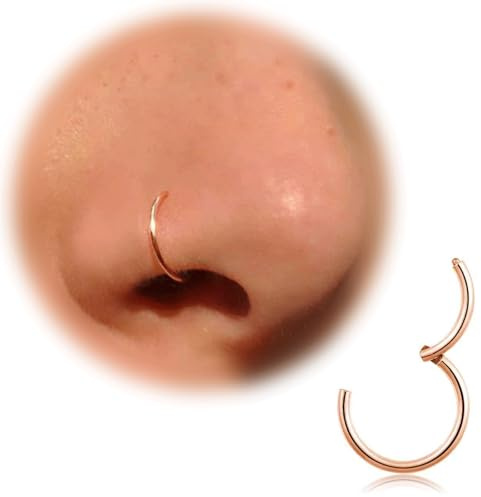20 G, 18 g, 16 g, titan, näsring, broskring, örhängen för kvinnor, män, silver, guld, näsring, septum, ring, tragus, snäcka, helix daith, läpppiercing, smycken, 6 mm/7 mm/8 mm/9 mm/10 mm
