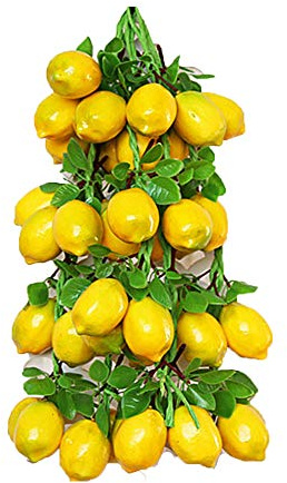 Confezione da 5 corde di limoni artificiali, realistiche, per fotografia, casa, cucina, decorazione per il raccolto (limone, 5 pezzi)