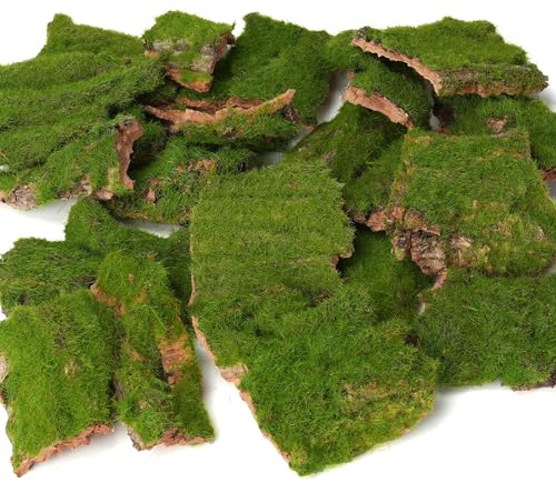 BYHER Corteccia di muschio artificiale assortiti, decorazione per artigianato fai da te, giardini delle fate, terrari, composizioni floreali (verde realistico, 100 gr)