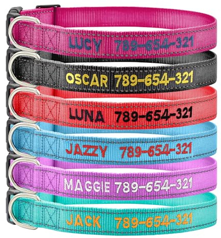 Collare Cane Riflettente Personalizzato, Ricamato con Nome e Numero di Telefono per Cani di Taglia Extra-Piccola Piccola Media Grande