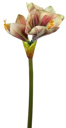 Seidenblumen Roß Amaryllis Real Touch 68cm GA Kunstblumen künstlicher Ritterstern Blumen Pflanzen (Rosa-Grün)