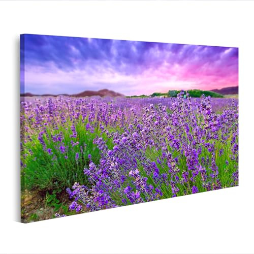 islandburner Cuadro sobre lienzo Campo de lavanda al atardecer con cielo violeta cuadros murales 100 x 57 cm