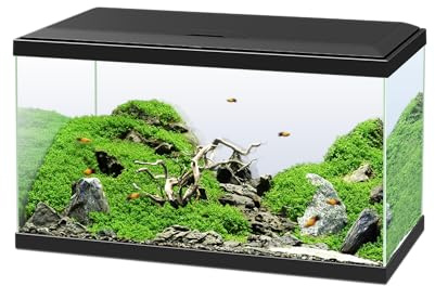 CIANO WEB AQUA 60 Acquario in Vetro Temperato Nero 60 Litri per Pesci Tropicali