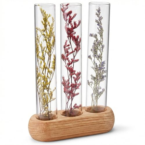 Dried Plant Specimen Display with Solid Oak Base - Minimalist Biophilic Aesthetic Gifts for Women, Friends, Nature Lovers - Refillable DIY Botanical Glass Tube - Borosilicate Glass Removable Decor
