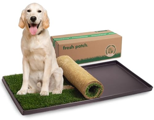 Fresh Patch Real Grass Patch for Dogs, Cats, and Extra Large Pets 30 Pounds and Above β Disposable Pet Grass Pee Pads with Tray β Indoor and Outdoor Potty Training Mat (24 Inches x 48 Inches)
