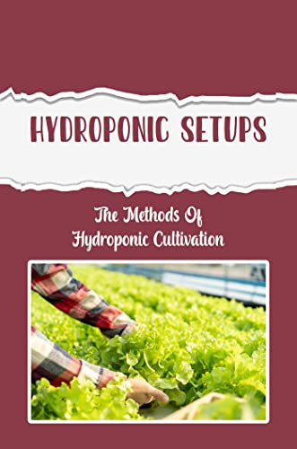 Hydroponic Setups: The Methods Of Hydroponic Cultivation