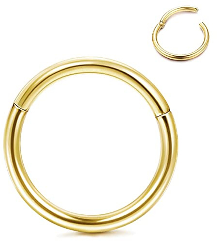 Roheafer Hypoallergena näsringar titan G23 näsringar 14G 16G 18G 20G gångjärnssegment för kvinnor män helix skal brosk septum smycken ringar kroppspiercing, Titan, Ingen sten
