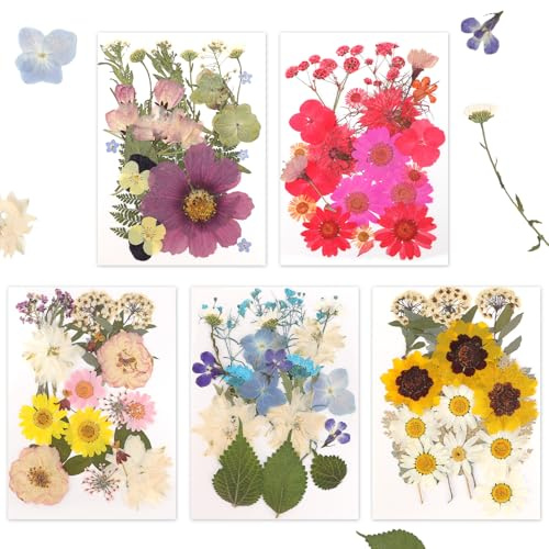 Gugxiom Torkade pressade blommor, 100 st äkta torkade blommor för harts, 5 färgteman, för hartsformer, ljus, naglar, konst, telefonfodral, gör-det-själv, smycken och hantverk (Stil 1)