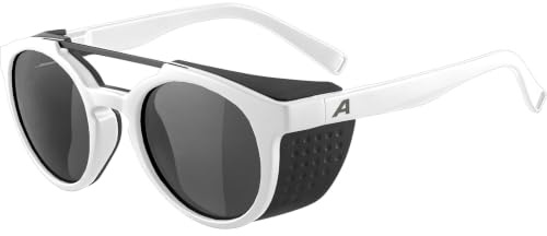 ALPINA Unisex Glace Glacier Sunglasses (pack of 1)