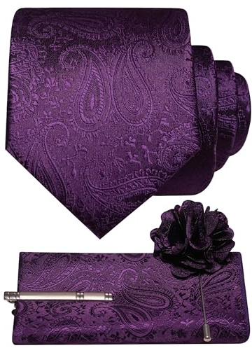 JEMYGINS Ensemble de cravates pour homme - Mouchoir de poche - Pince à cravate - Motif cachemire - Pour mariage, affaires, fête - Multicolore