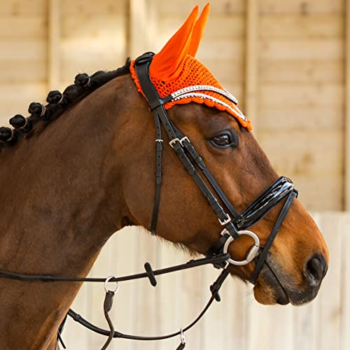 HORZE, bridon Anatomique de Cheval Grayson avec Strass, Noir, C
