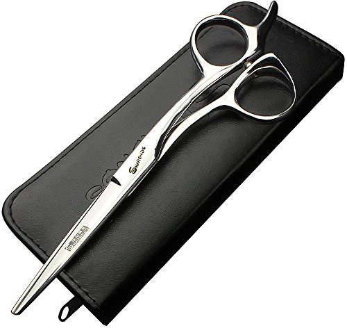 Tagliacapelli professionali da 5,5/6/6,5 pollici, tagliacapelli ultra taglienti, forbici parrucchiere/famiglia, sensazione della mano stabile (Forbici da taglio da 5,5 pollici-B)