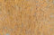 Korkstoff Meterware 75 x 140cm Kork Natur Korkleder vegane Leder Alternative, Variante:Variante 2