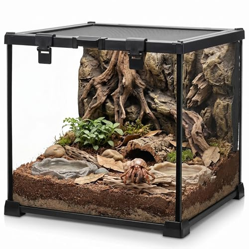 NEPTONION 12x12x12 Reptile Terrarium, Escape-Proof Glass Full-View Vivarium for Tropical Invertebrates Such as Hermit Crabs, with Escape-Proof Lock & Feeding Hatch