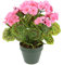 Flair Flower Geranio Artificial en Maceta, arbusto de Geranio, Planta de Cama, Flores de Seda, Planta Artificial, decoración de Mesa, Planta Decorativa, Planta de Interior, Flor en Maceta, Rosa, 28 x