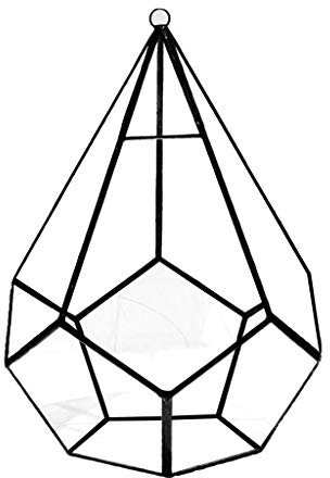 Greabuy Five-sided Rhombus Glass Rack Geometric Succulents Terrarium Suitable for Desktop Decoration Large Clear Moss
