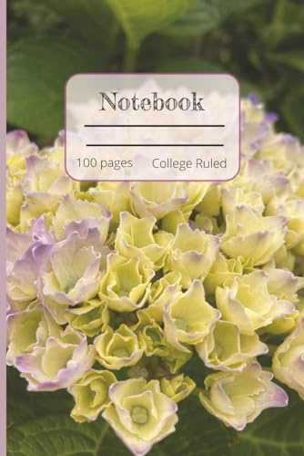 Independently published