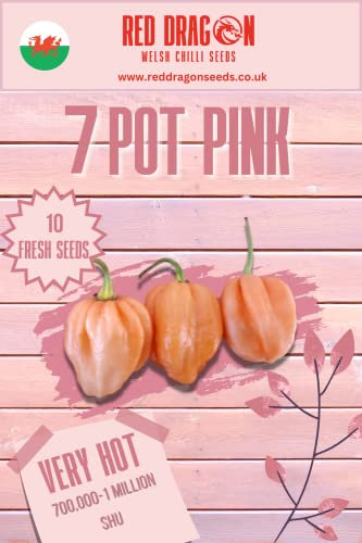 7 Pot Pink Chilli Seeds - 10 Fresh 7 Pot Pepper Seeds