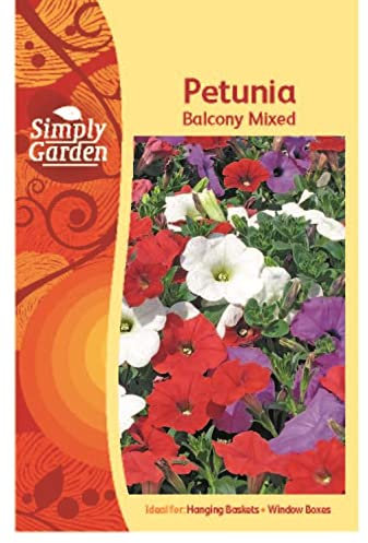 Simply Garden Petunia Balcony Mixed Seeds Grow Your Own Flowers Ideal for Baskets Pots Tubs