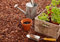 TRANS - PAL Decorative Landscape Bark Spruce Wood Bark Chipping Mulch for Landscaping, Top Dressing, Paths & Play Areas 20l / 50l / 80L / 100L or 160 Litres (20 litres)