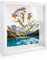 APOMOONS Marcos con Profundidad 20 x 20 cm Marcos de Fotos 3D Profundidad para Objetos Profundidad 3cm Marco de Objeto Rellenable Forma Cuadrada para Colgar en la Pared o Escritorio