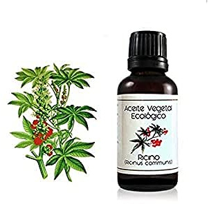 LABIATAE Aceite DE RICINO Bio 30 ML