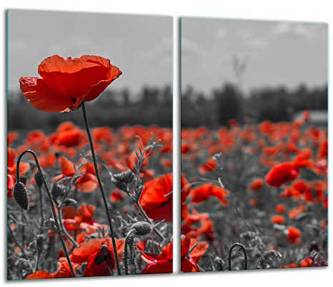 TMK - Plaque de protection universelle pour plaque de cuisson 2 x 30 x 52 cm Pour plaques de cuisson Protection contre les éclaboussures Planche a découper en verre trempé Décoration, rouge fleurs