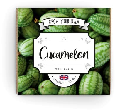 Grow Your Own Cucamelon Kit - Complete Beginner Starter Kit | Easy Instructions | Made in UK | Perfect Gardening Gift for Any Occasion
