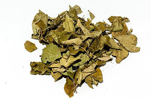 Pflaumenbaum Laubblätter (grün getrocknet), 30 Blätter - Garnelen- Wasserschnecken und Krebsfutter