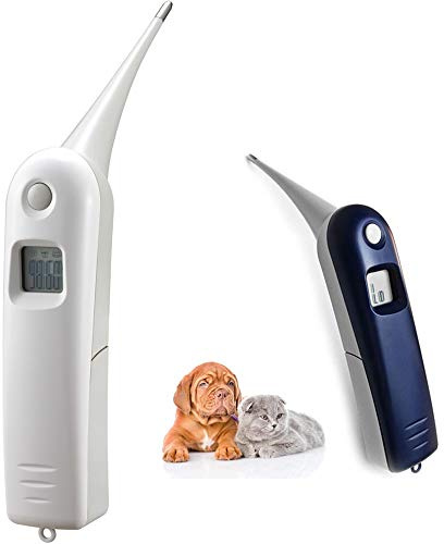 Aurynns Thermomètre vétérinaire numérique rapide pour chiens, chats, chevaux, bovins, cochons, oiseaux, moutons. Commutable C/F (blanc)