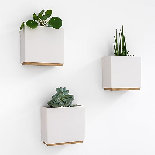 Kazai. Jardinières Murales -Alma- | 3 Pots de Fleurs Suspendus Modernes en Résine | Ensemble de Porte-Plantes pour Plantes d'intérieur, Plantes artificielles et Plus | Crème